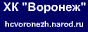 Все о хоккее в Воронеже
